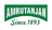 AMRUTANJAN logo