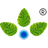ANURAS logo