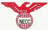 NECCLTD logo