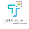 TERASOFT logo
