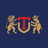 TI logo