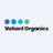 VALIANTORG logo